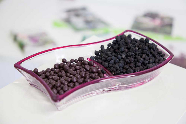 Aroniabeeren-Verkostung